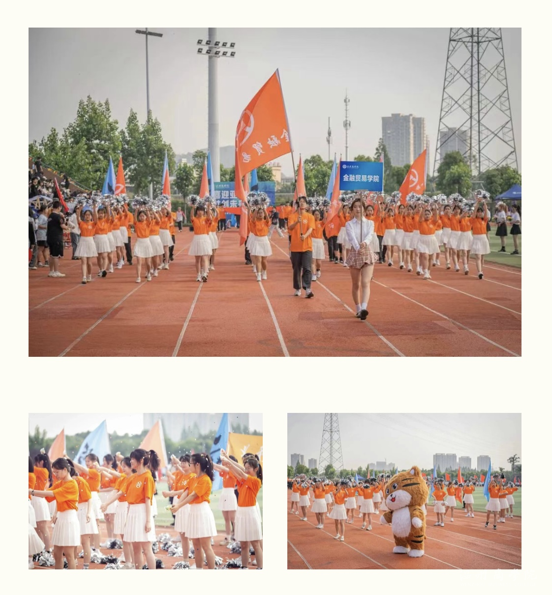 IMG_5913.PNG