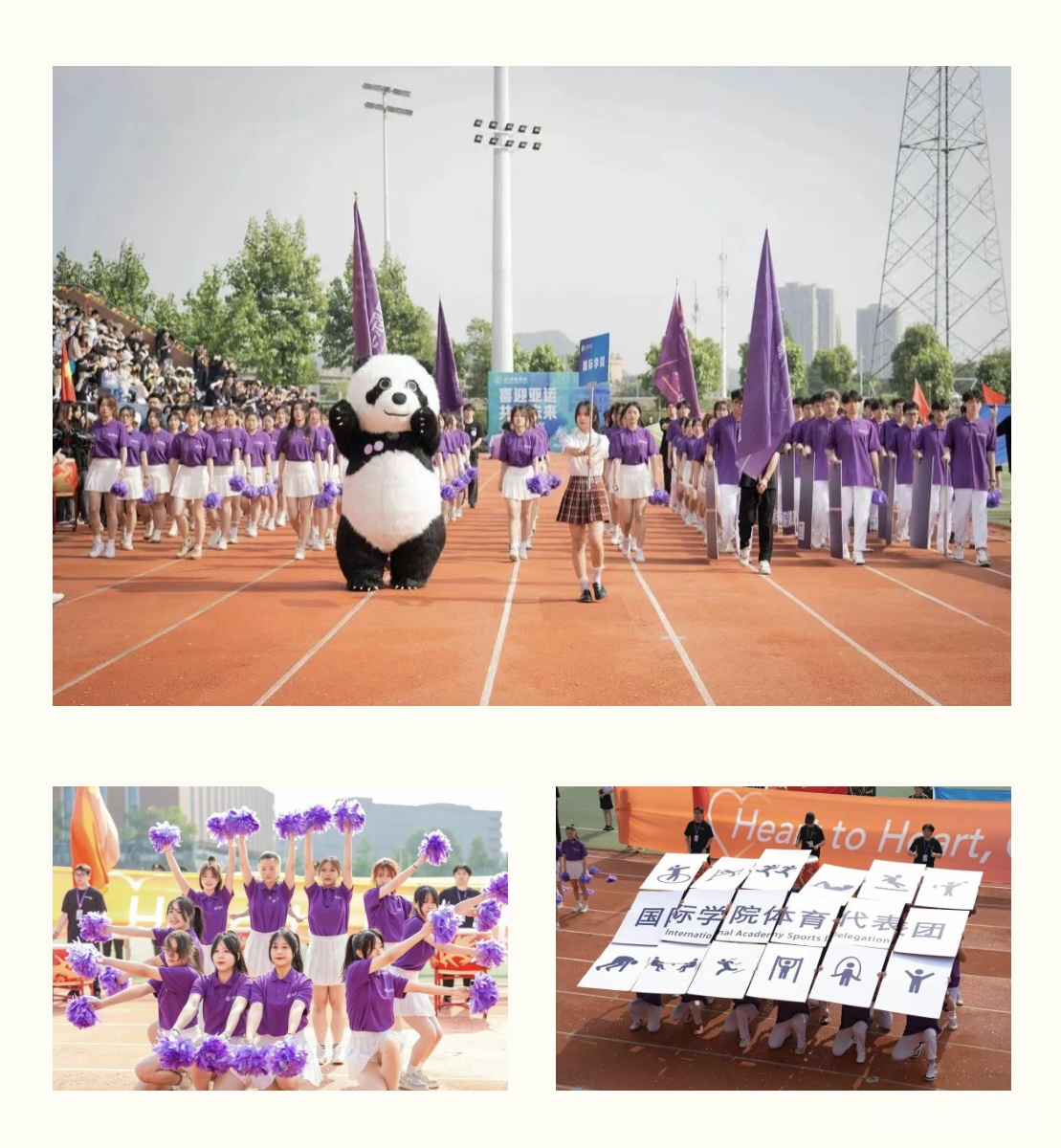 IMG_5915.PNG