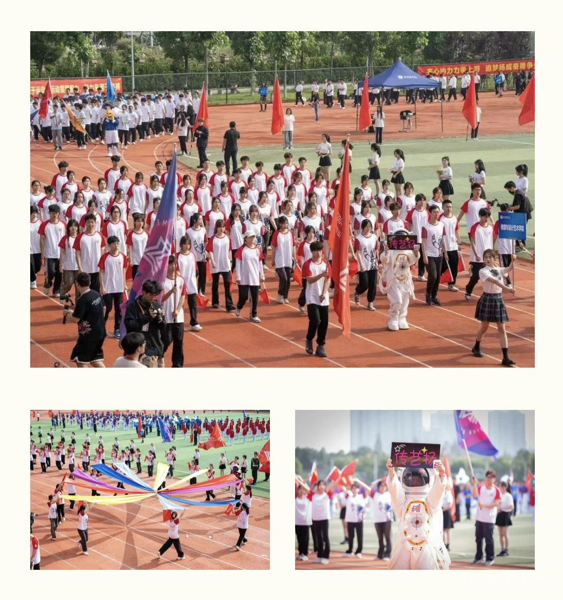 IMG_5916.PNG