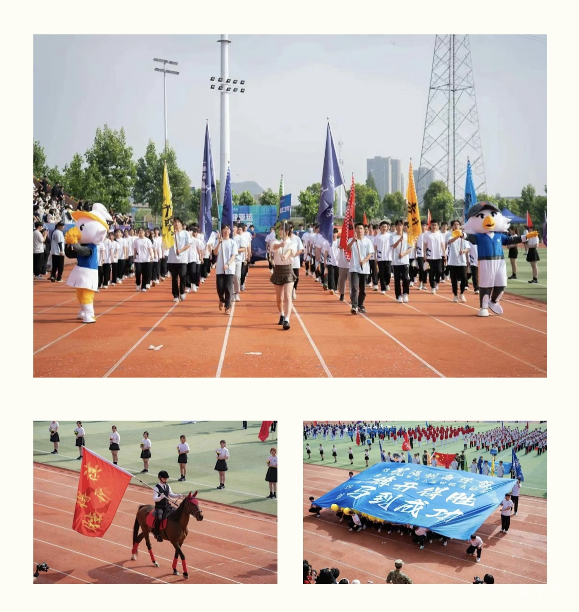 IMG_5917.PNG
